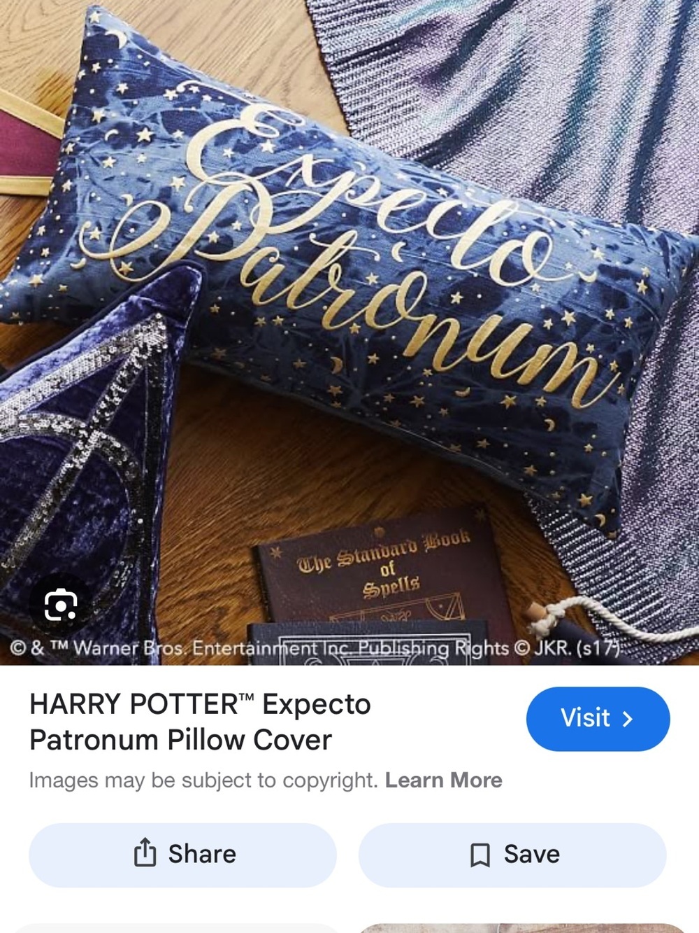 Pottery Barn Teen "Expecto Patronum" Accent Pillow with insert Harry Potter